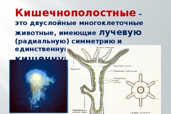 Как попасть на сайт мега с телефона