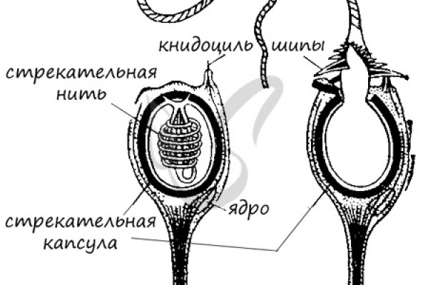 Как зайти в мегу через тор