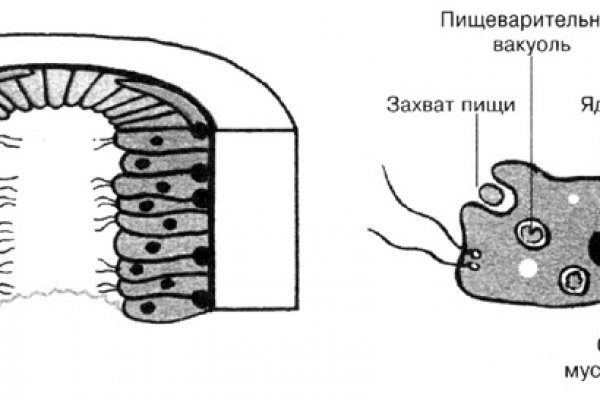 Ссылка на сайт kraken